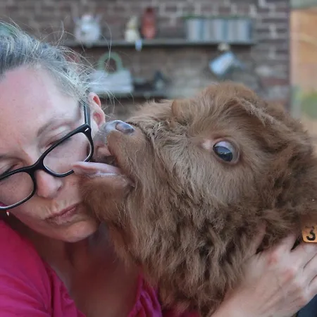 別荘 Au Soleil Levant デュルビュイ